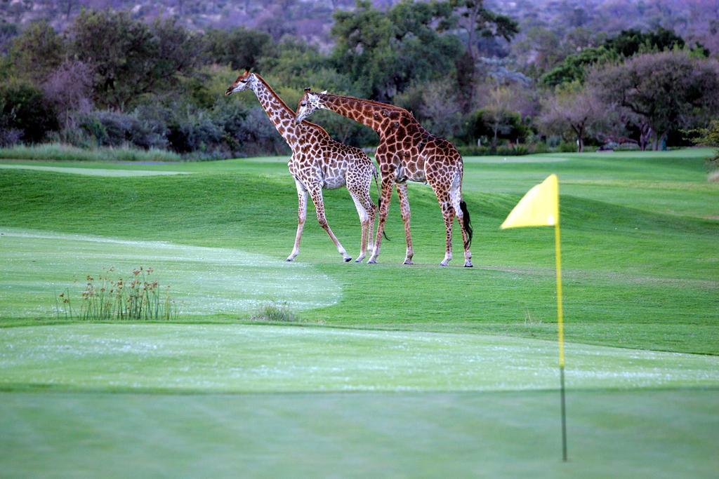 Royal Game Guest House Phalaborwa Ngoại thất bức ảnh